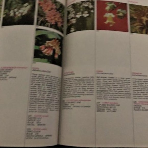 1971 What Flower is That? by Stirling Macoboy - Picture 4 of 8